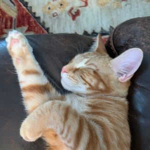 Meet your Posher, Jaden